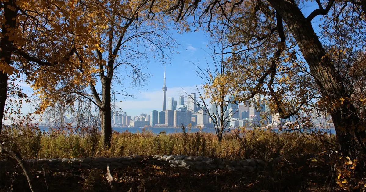 Toronto skyline through autumn trees, where the same rules on no refusal loans apply as everywhere in Canada